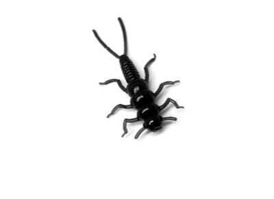 black plastic stonefly lure